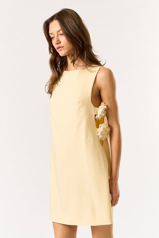 Adrienne Dress