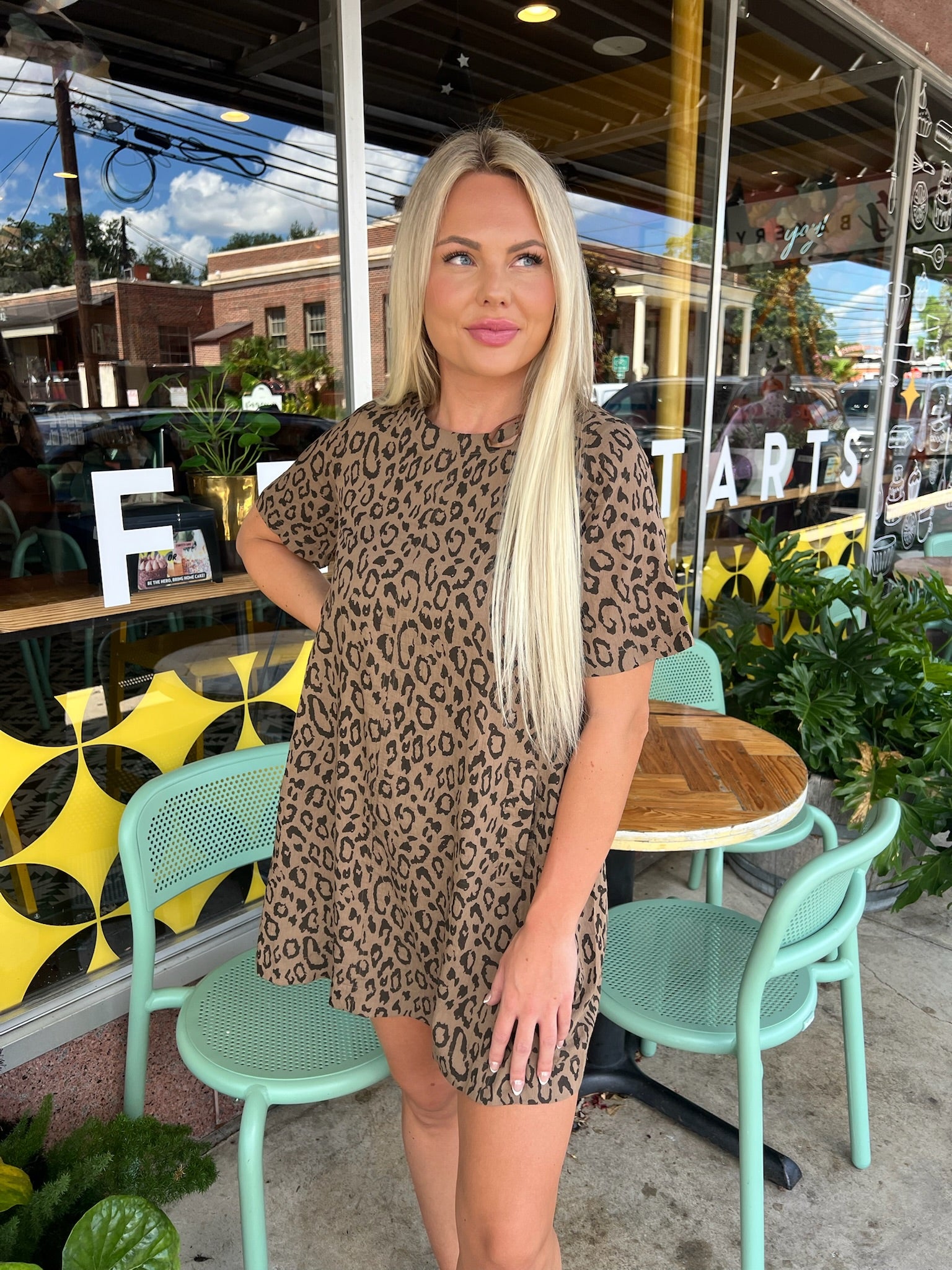 Laken Mini Dress