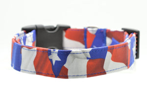 Dog Collars